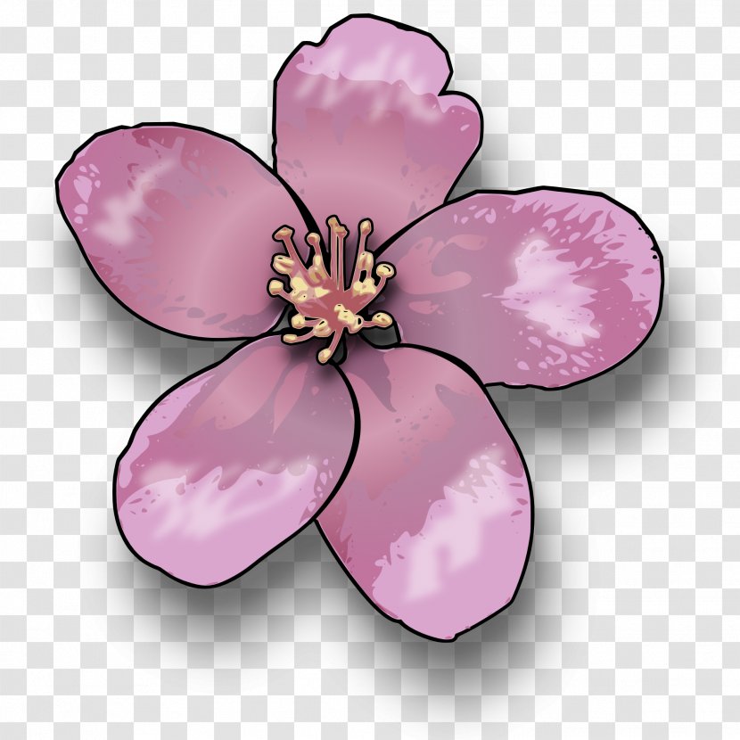 Cherry Blossom Clip Art - Herbaceous Plant - BLOSSOM Transparent PNG