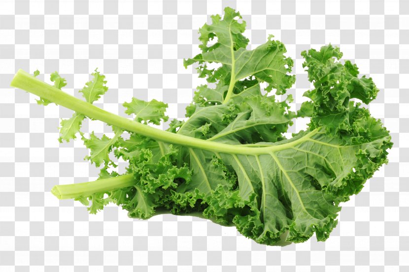 Lacinato Kale Leaf Vegetable Salad Brussels Sprout - Health - Creative Photography Transparent PNG