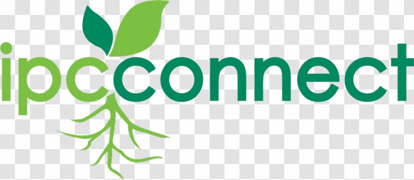 Logo Brand Product Font Leaf - Green - Invasive Weed Identification Transparent PNG