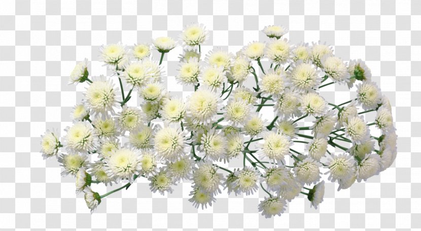 Chrysanthemum Flower Floral Design Clip Art - Bouquet Transparent PNG