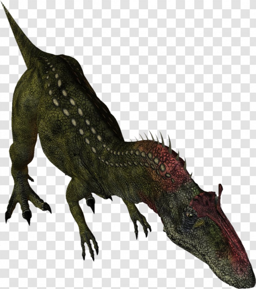Tyrannosaurus Crocodiles Dinosaur Dragon Fauna - Terrestrial Animal - Dinosaurs Transparent PNG