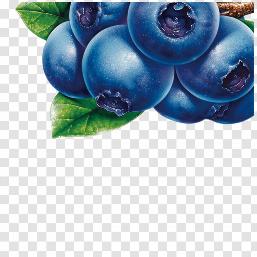 Blueberry Tea European Fruit Bilberry - Plum - Berry Transparent PNG