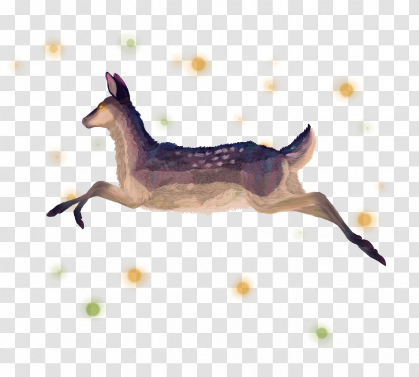 Deer Canidae Drawing Show Jumping Transparent PNG