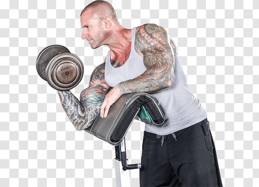 Shoulder Physical Fitness Weight Training Exercise - Watercolor - Jim Stoppani Transparent PNG
