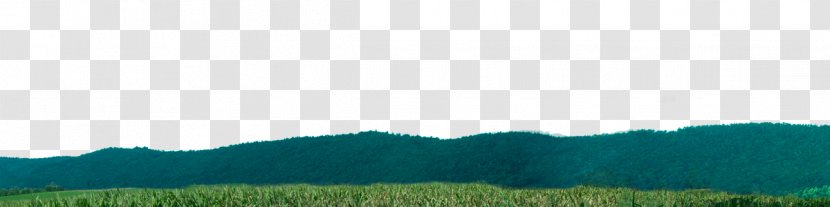 Biome Grassland Desktop Wallpaper Land Lot Ecoregion - Agriculture - Corn Field Transparent PNG