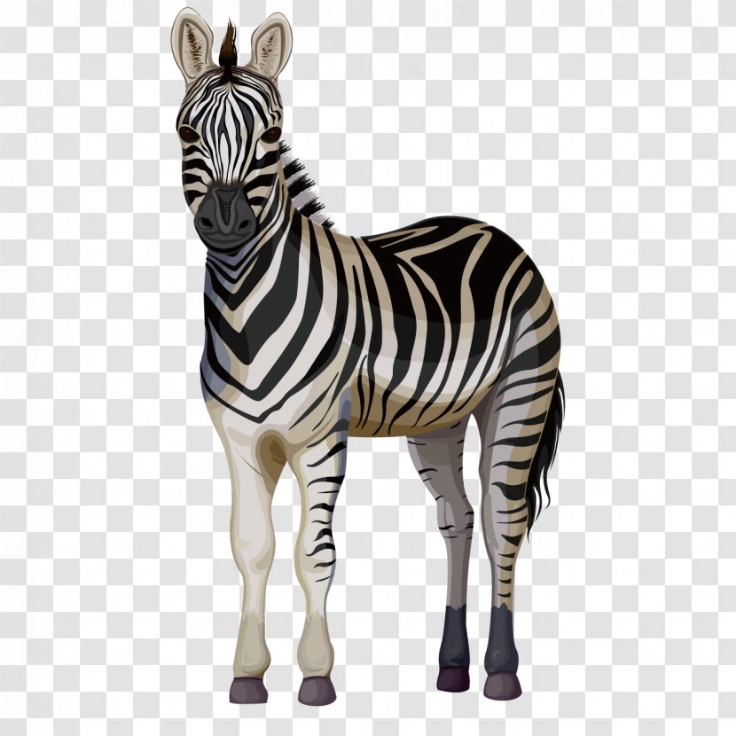 Quagga Horse Zorse Zebra - Neck - Cartoon Transparent PNG