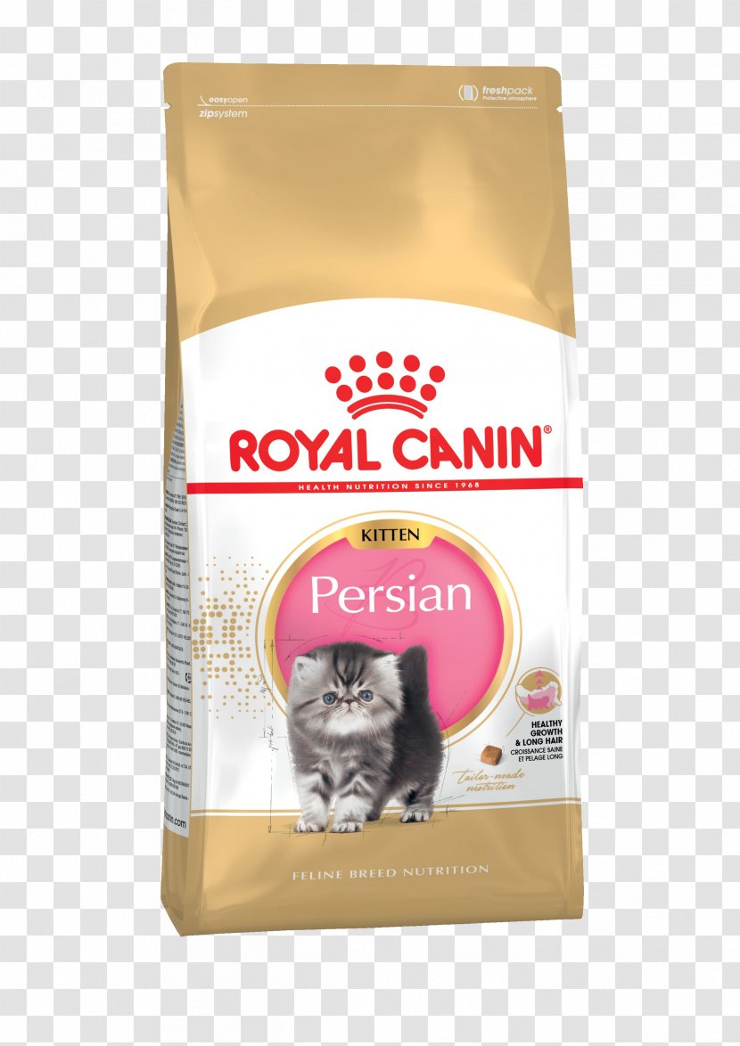 Persian Cat Food Kitten British Shorthair Ragdoll - Dog Transparent PNG