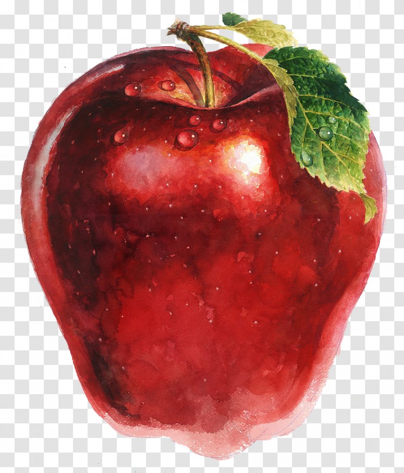Apple Drawing Strawberry Illustration - Hand-painted Picture Transparent PNG