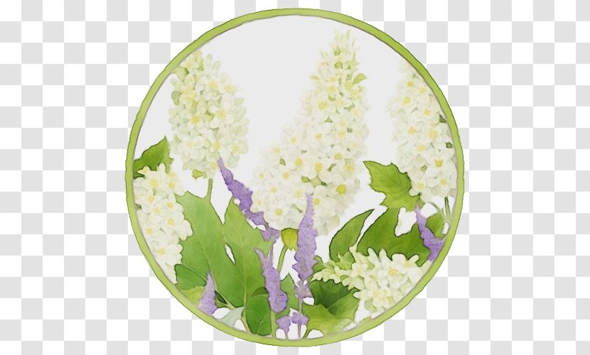 Lily Of The Valley Flower Lilac Plate Plant - Wet Ink - Hydrangea Delphinium Transparent PNG