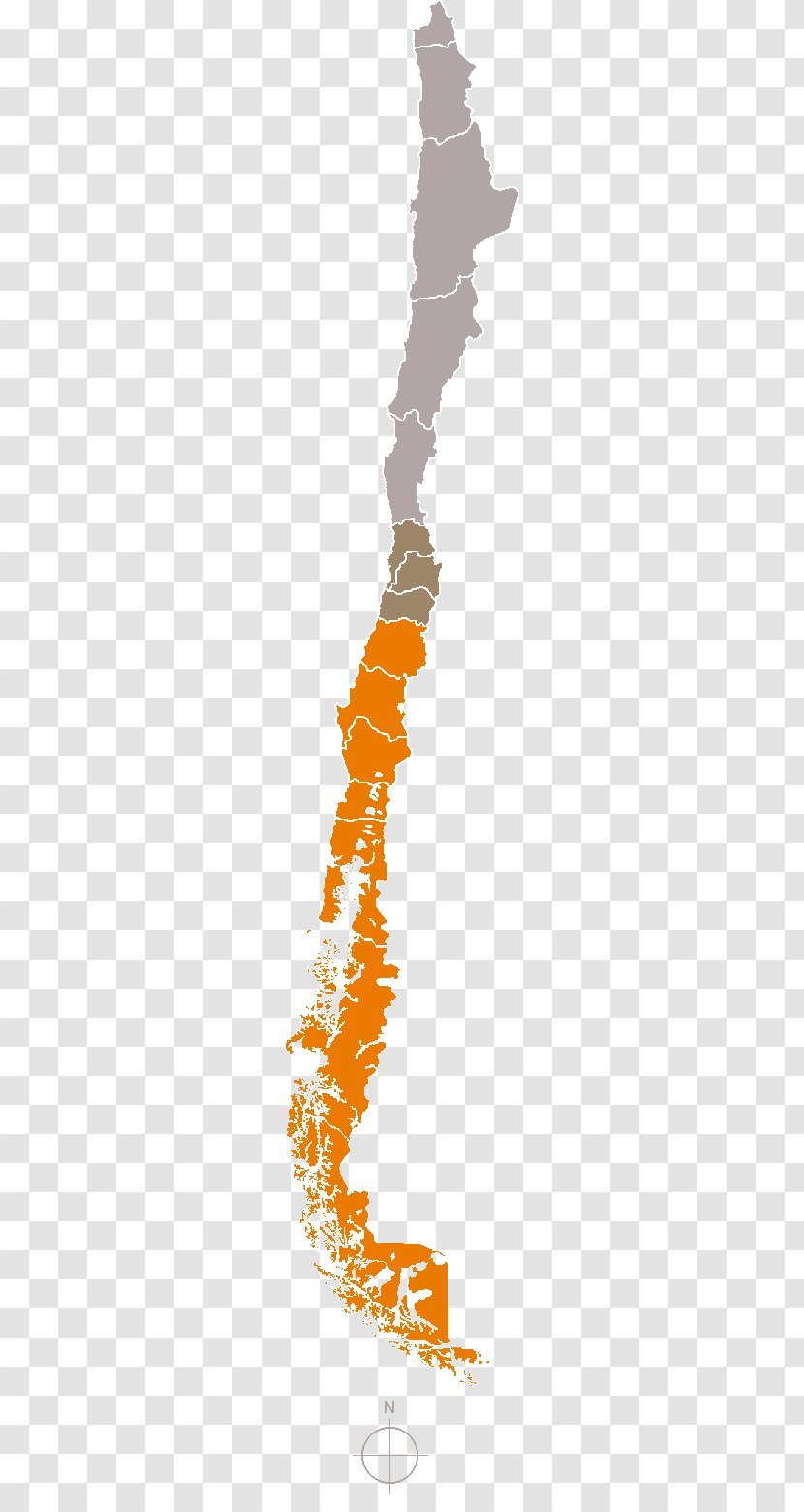 Regions Of Chile Arica Y Parinacota Region Tarapacá Continental Santiago - Text - Map Transparent PNG