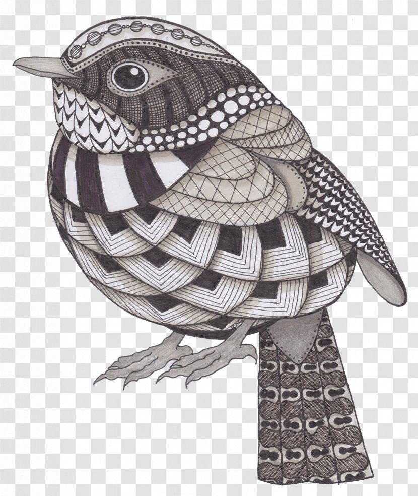 Bird Owl Drawing Flickr Illustration - Plane Decoration Painting Transparent PNG