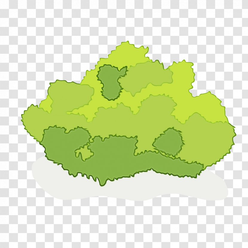 Green Leaf Watercolor - Map - Art Broccoli Transparent PNG