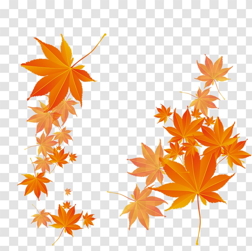 Maple Leaf Autumn - Rgb Color Model - Leaves Fluttering Transparent PNG