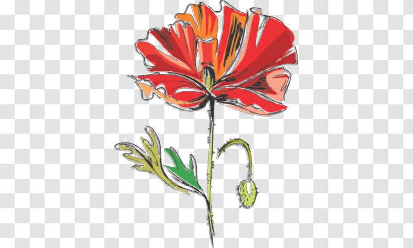 Cut Flowers Poppy Petal Clip Art - Leaf - Flower Transparent PNG