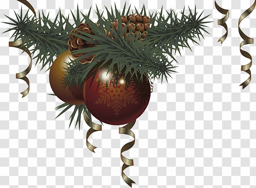 Christmas Ornament - Pine - Family Transparent PNG