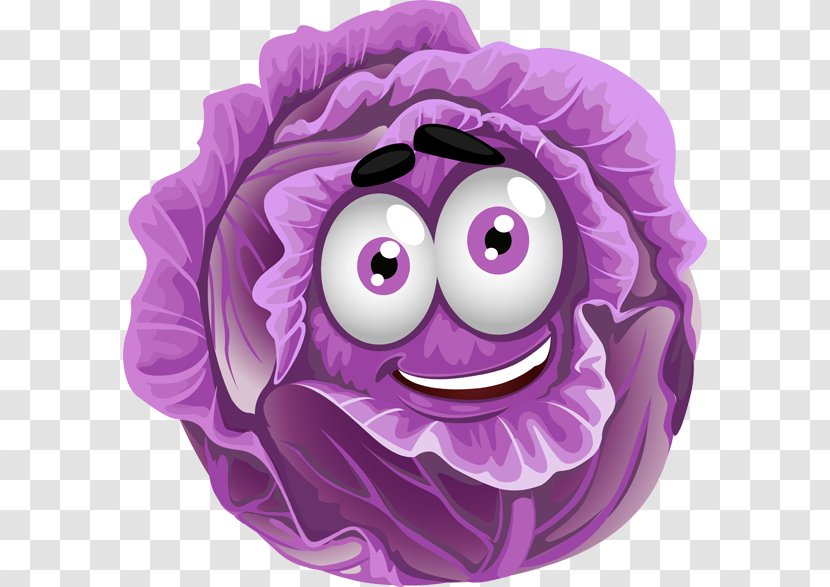 Red Cabbage Capitata Group Savoy Vegetable Transparent PNG