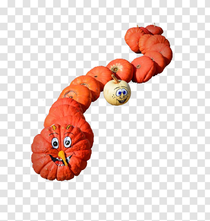 Snake Calabaza Winter Squash - Creative Smiley Pumpkin Transparent PNG