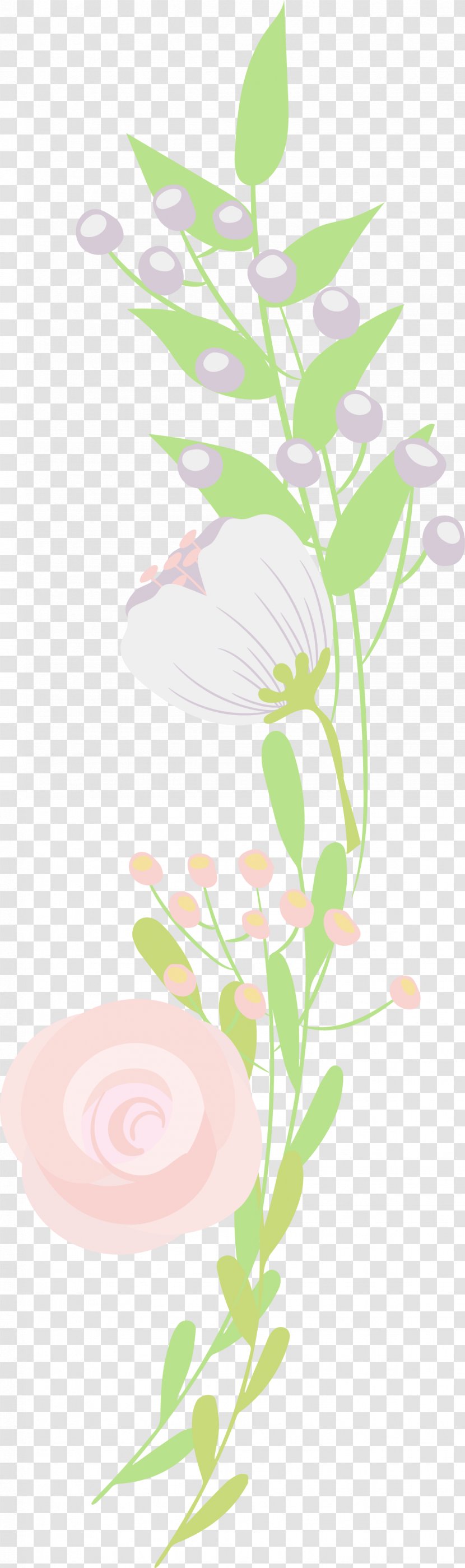 Illustration Clip Art Floral Design Product - Flower - Rose Family Transparent PNG