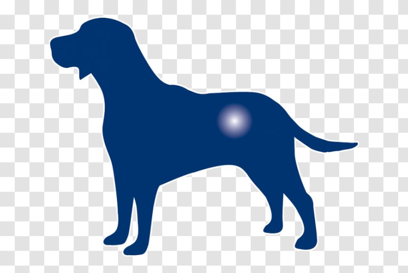Labrador Retriever Puppy Dog Breed Jack Russell Terrier - Tail Transparent PNG