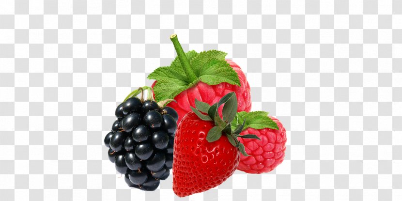 Red Raspberry Blackberry - Boysenberry Transparent PNG