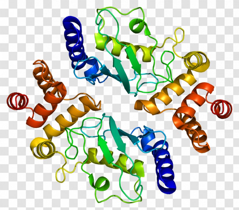 Huntingtin-interacting Protein 1 HIP2 Ubiquitin-conjugating Enzyme - Watercolor - Silhouette Transparent PNG