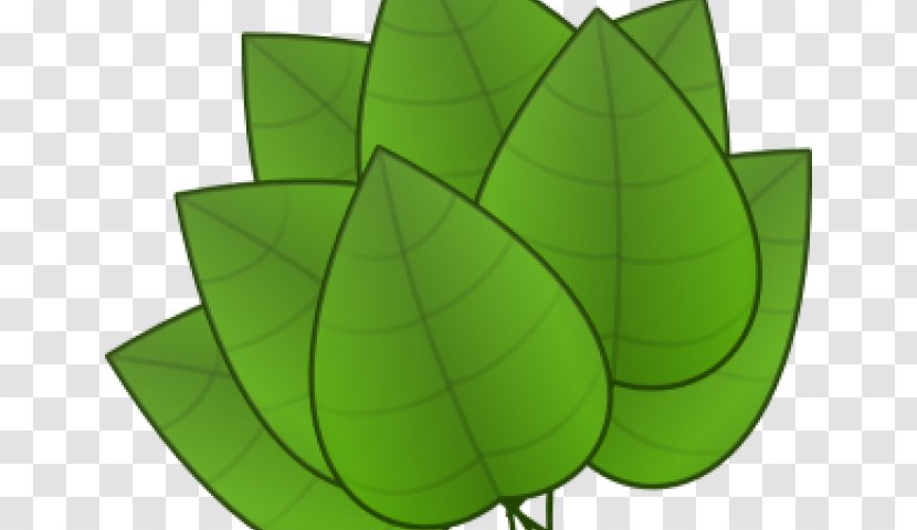 Clip Art Leaf Vector Graphics Free Content - Flower - Lemon Balm Plant Transparent PNG