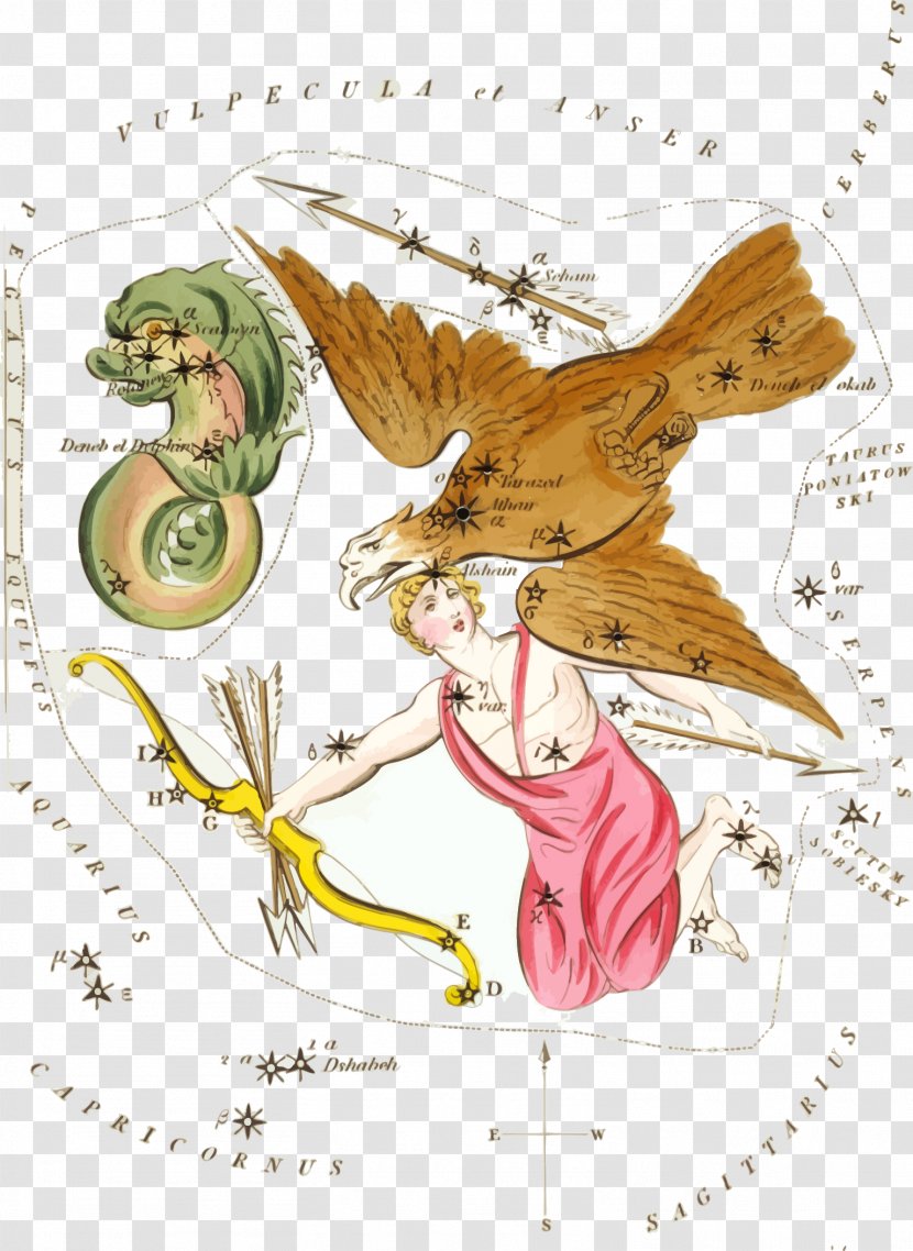 Zeus Aquila Greek Mythology Constellation Altair - Flower - Vector Eagle Lady Transparent PNG