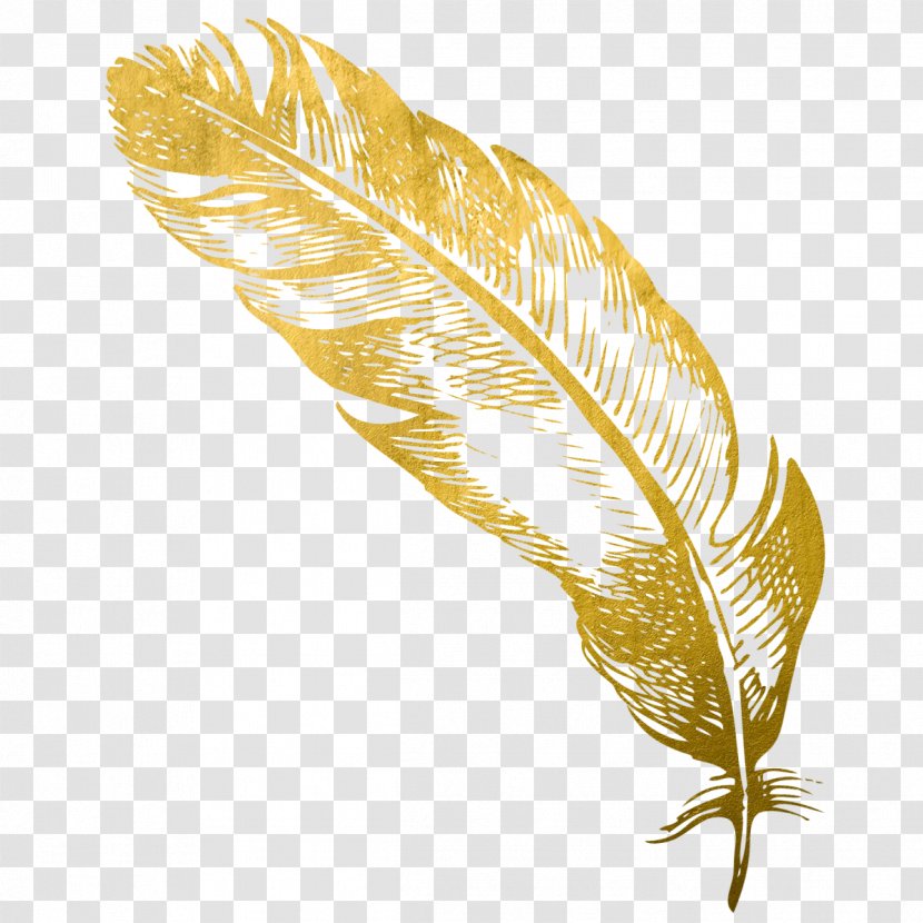 Feather Gold Quill Card Snobs - Light Transparent PNG