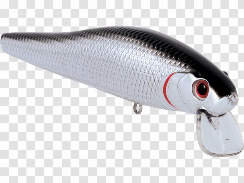 Fishing Baits & Lures - Fish Transparent PNG