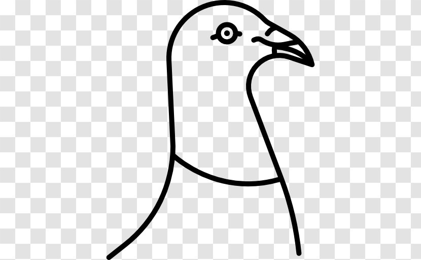 Bird - Beak Transparent PNG