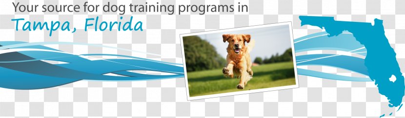 Dog Training Puppy Veterinarian - Tampa - Police Transparent PNG