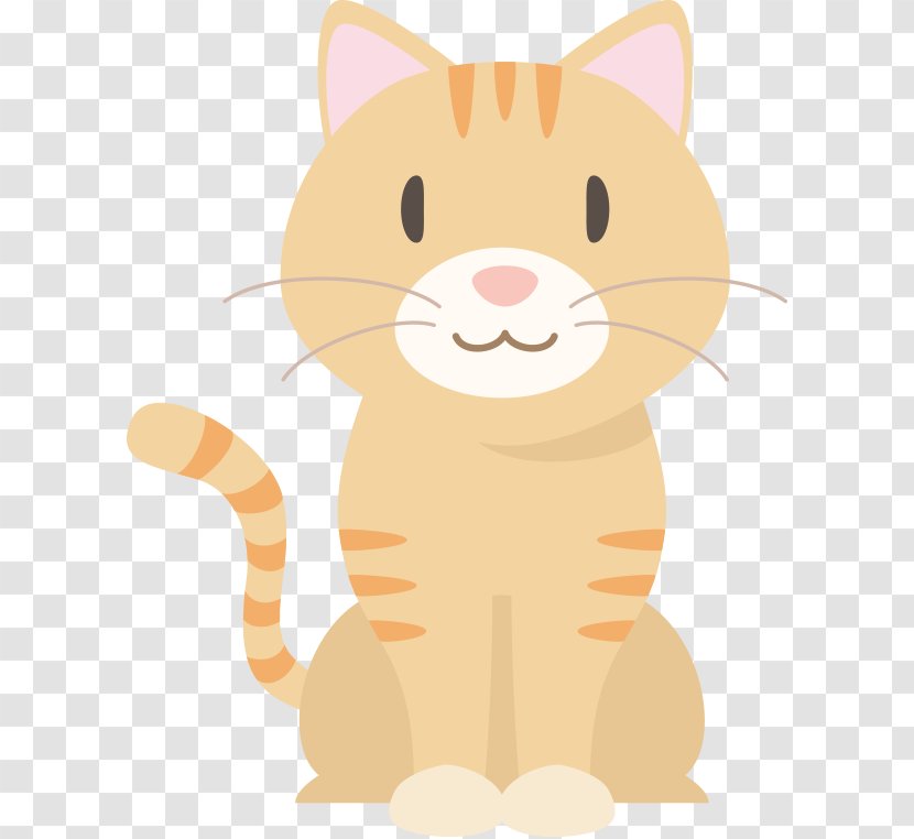 Kitten Whiskers Tabby Cat Food - Like Mammal Transparent PNG