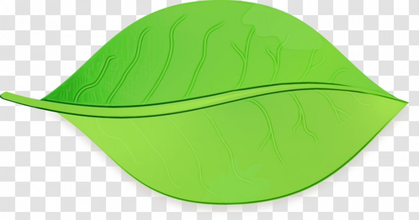 Green Leaf Watercolor - Cricket Cap - Headgear Transparent PNG