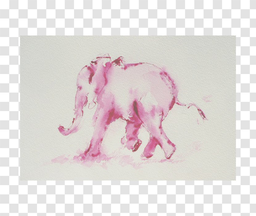 Indian Elephant African Watercolor Painting Drawing Pink M - Paint - India Transparent PNG