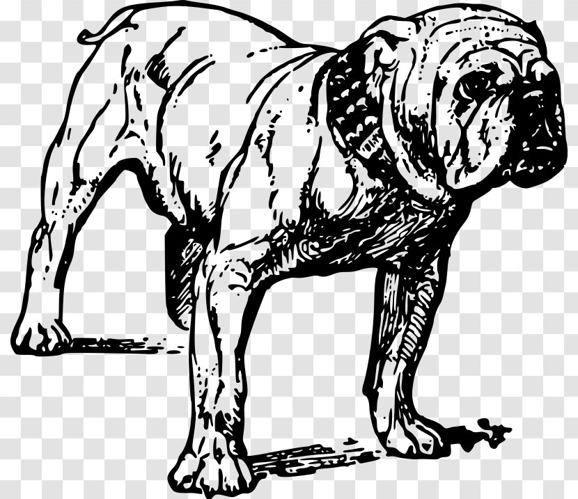 French Bulldog Alapaha Blue Blood Rottweiler - Line Art - Bull Dog Transparent PNG