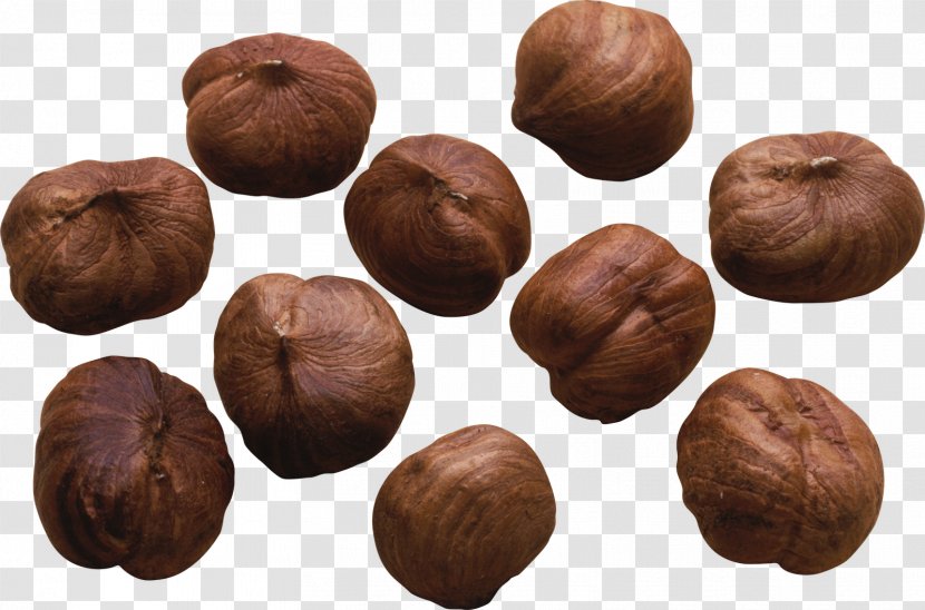 Hazelnut Chinese Chestnut Nuts Cashew - Ingredient - Pistachios Transparent PNG