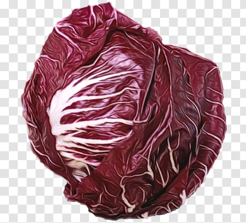 Cabbage Red Radicchio Leaf Vegetable - Plant Lettuce Transparent PNG