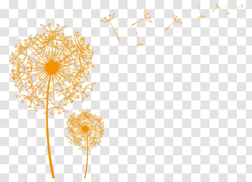 Illustration Vector Graphics Drawing Image Sketch - Royaltyfree - Flower Transparent PNG