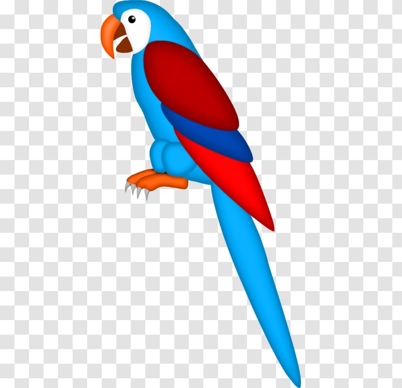 True parrot Bird Drawing, Hand colored parrot, blue, color Splash png |  PNGEgg