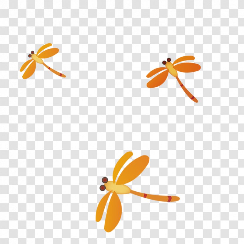 Cartoon Dragonfly - Hand-painted Transparent PNG