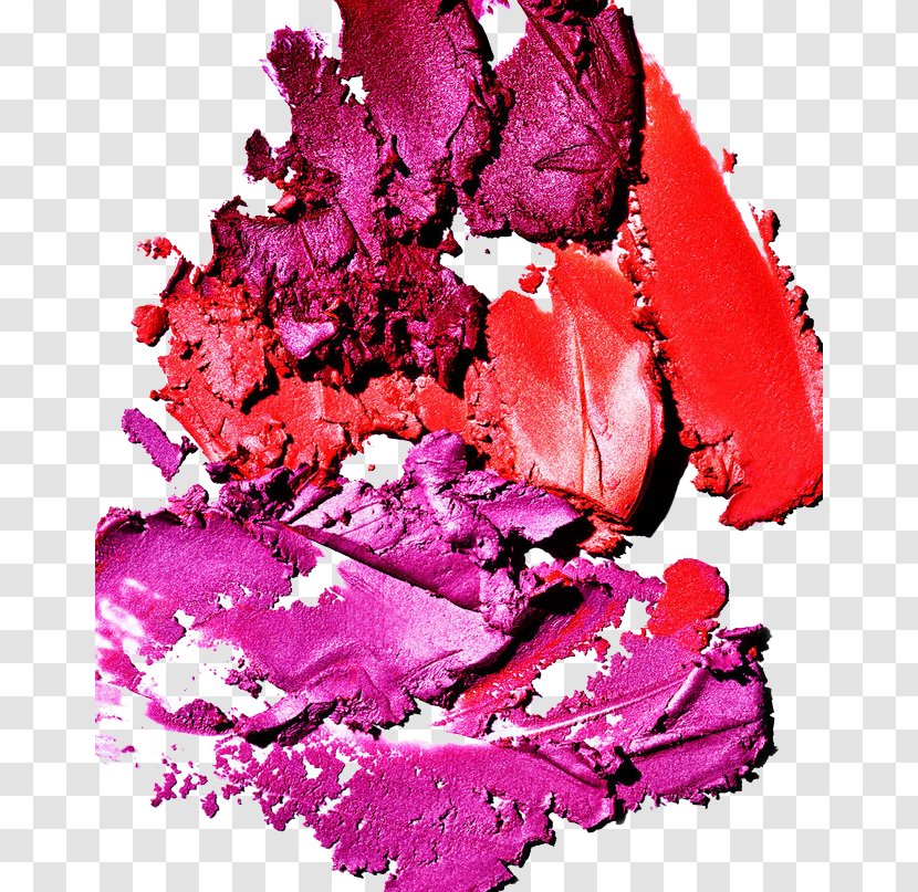 Download Cosmetics Make-up - Photography - Makeup Transparent PNG