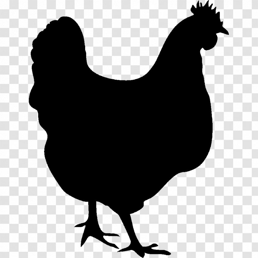 Chicken Meat Silhouette Hen Clip Art - Galliformes - Chalkboard Transparent PNG