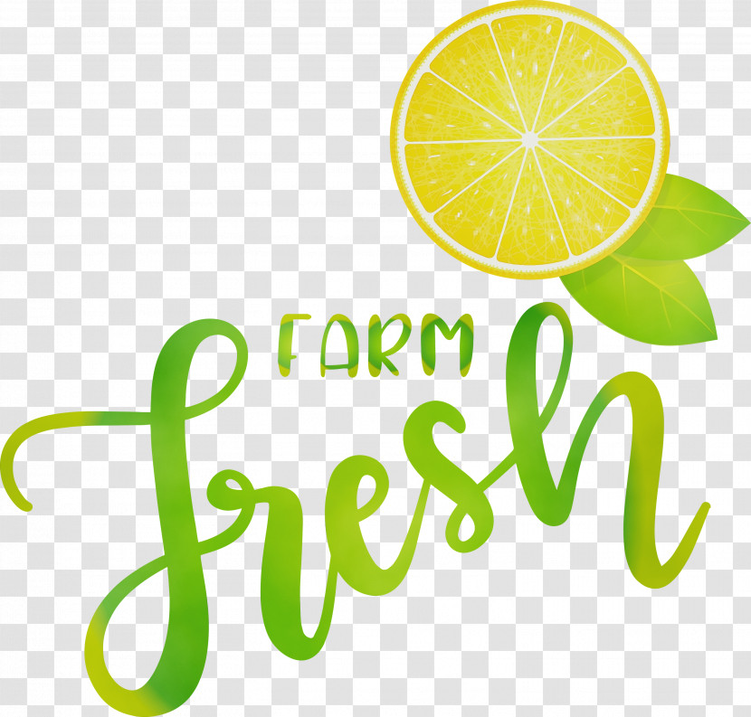 Lime Logo Lemon Meter Font Transparent PNG