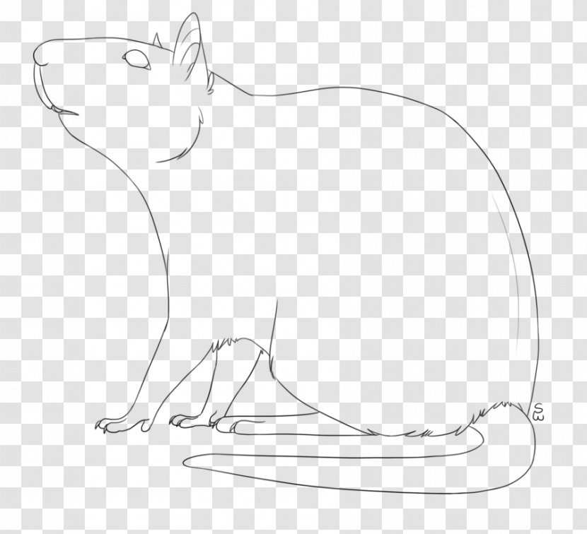 Line Art Drawing Cat - Heart - Rat & Mouse Transparent PNG