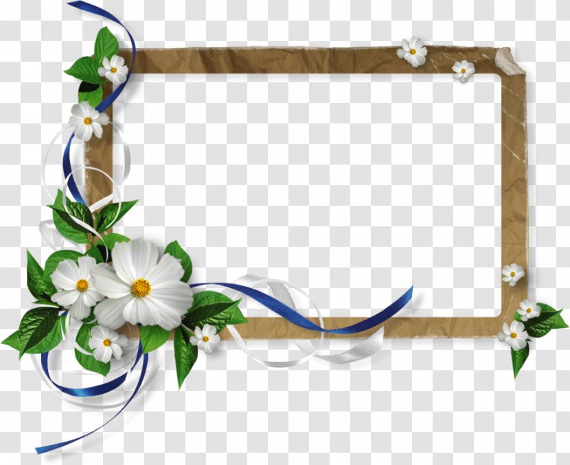 Picture Frames Photography - Body Jewelry - Frame Transparent PNG