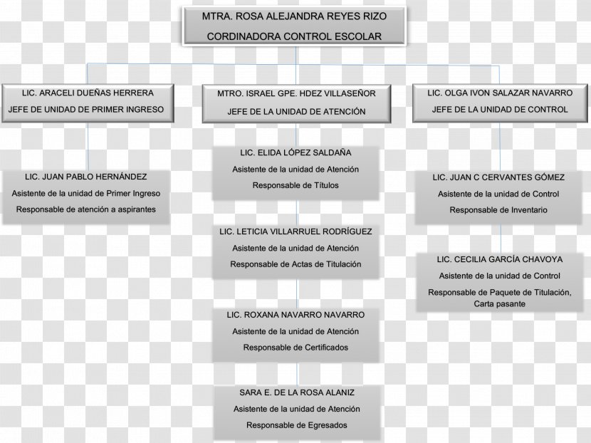 University Center Of The Cienega Organizational Chart Temuco Catholic Lindavista - Document - CUCI Transparent PNG
