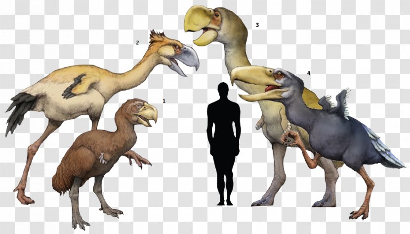 Flightless Bird Phorusrhacos Kelenken Guillermoi Pleistocene - Velociraptor - Watercolor Giraffe Transparent PNG