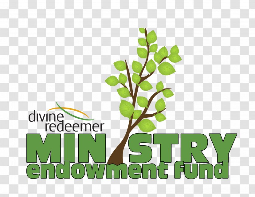 Homeschooling Divine Redeemer Lutheran Church Logo - Album - School Transparent PNG