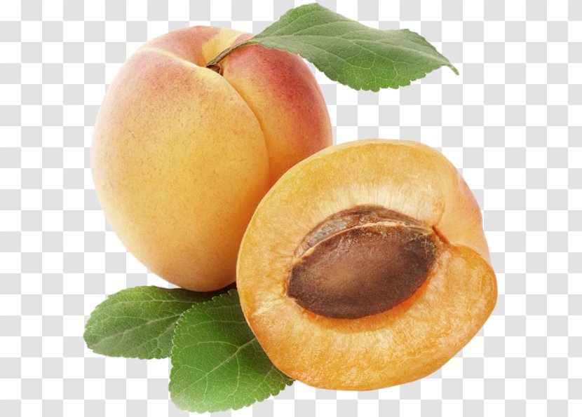 Apricot Fruit Peach Clip Art Transparent PNG