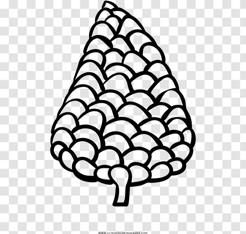 Christmas Tree Line - Coloring Book - Blackandwhite Conifer Transparent PNG